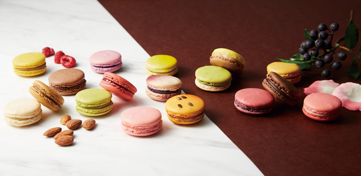 macaron_resize